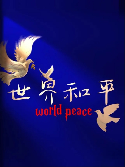 集團(tuán)董事長陳偉其：構(gòu)建韌勁系統(tǒng)——從印巴沖突說開